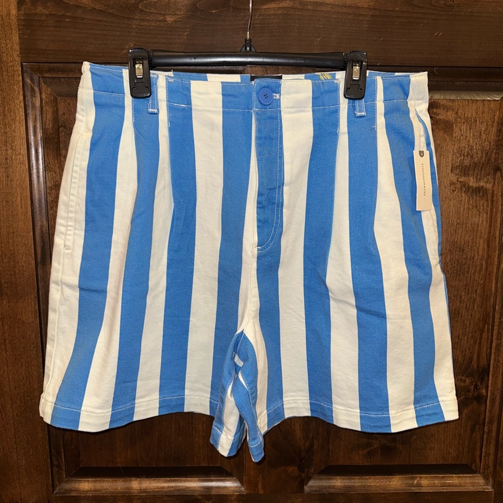 Anthropologie Blue and White Flat Front Shorts